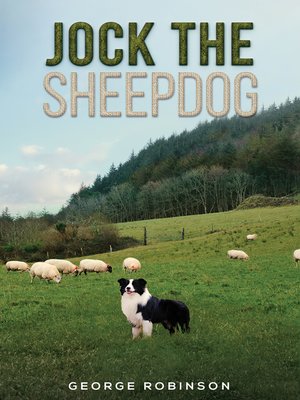 cover image of Jock the Sheepdog